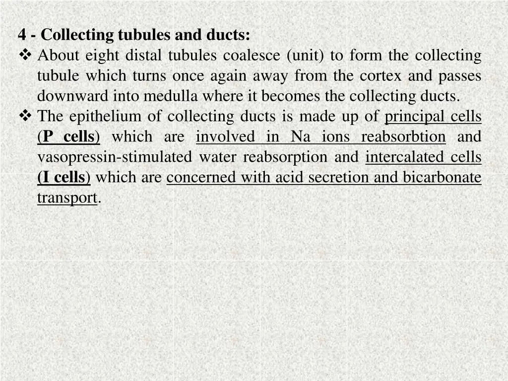 4 collecting tubules and ducts about eight distal