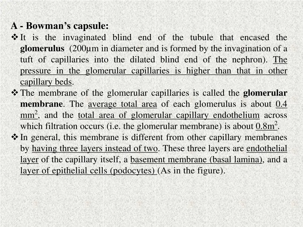 a bowman s capsule it is the invaginated blind