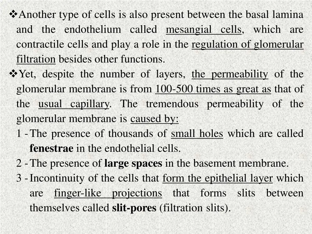 another type of cells is also present between