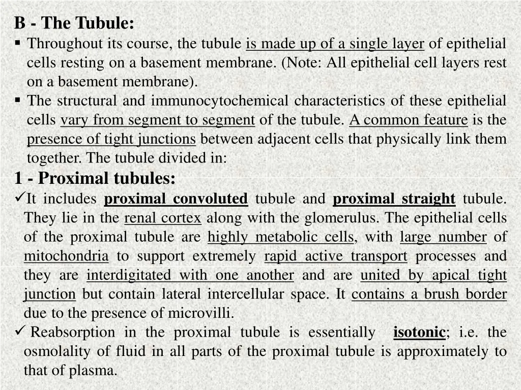 b the tubule throughout its course the tubule