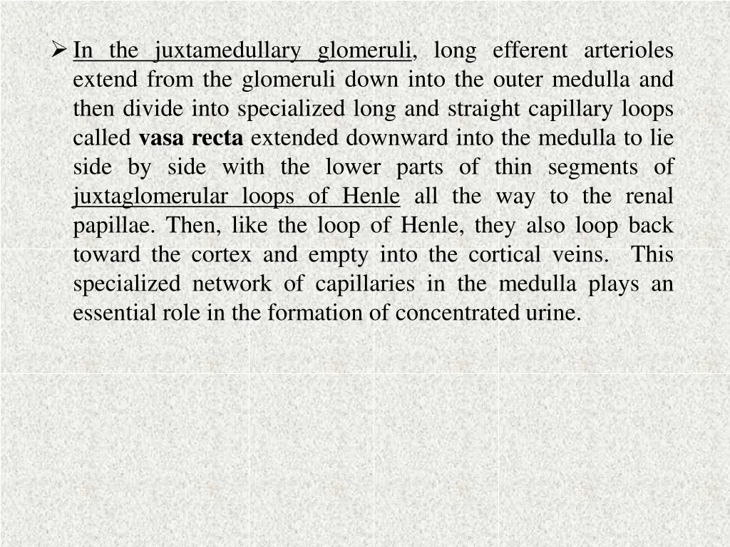 in the juxtamedullary glomeruli long efferent