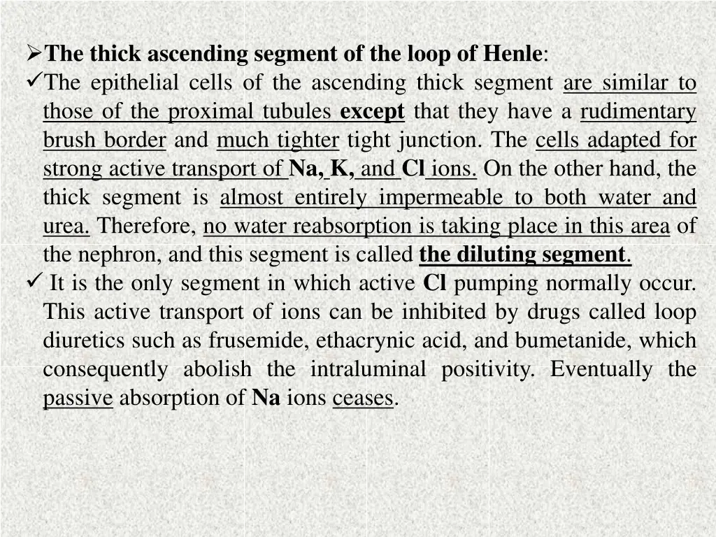 the thick ascending segment of the loop of henle