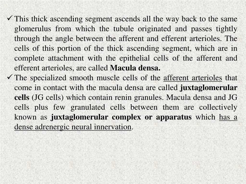 this thick ascending segment ascends