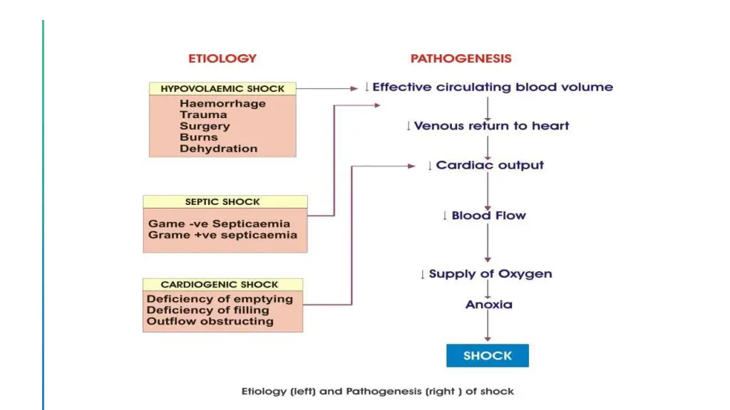 slide8