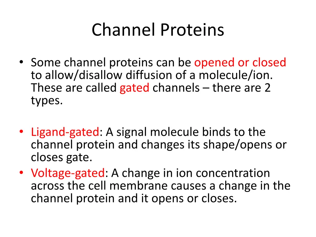 channel proteins 1