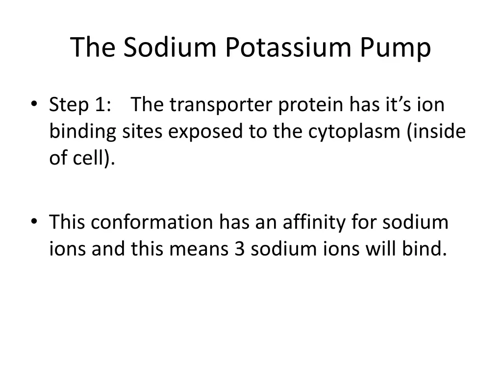 the sodium potassium pump 2