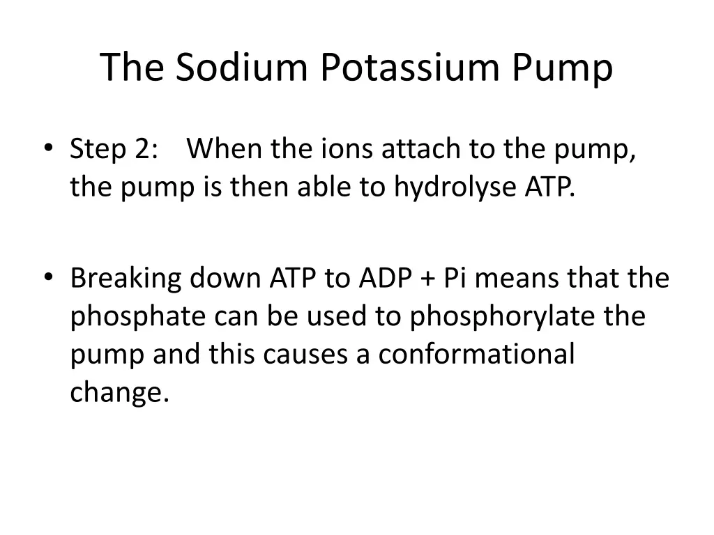 the sodium potassium pump 3