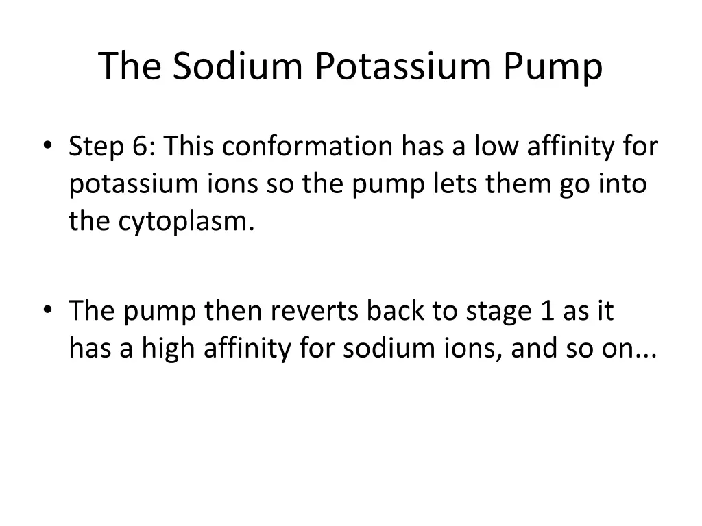 the sodium potassium pump 7