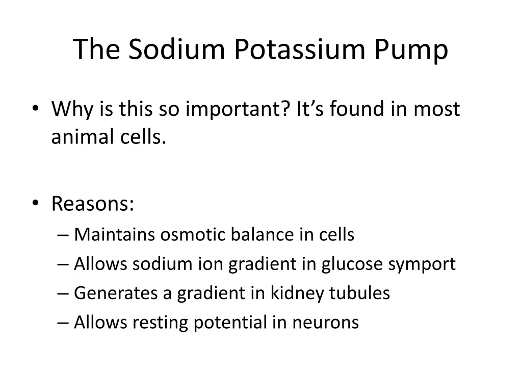 the sodium potassium pump 8