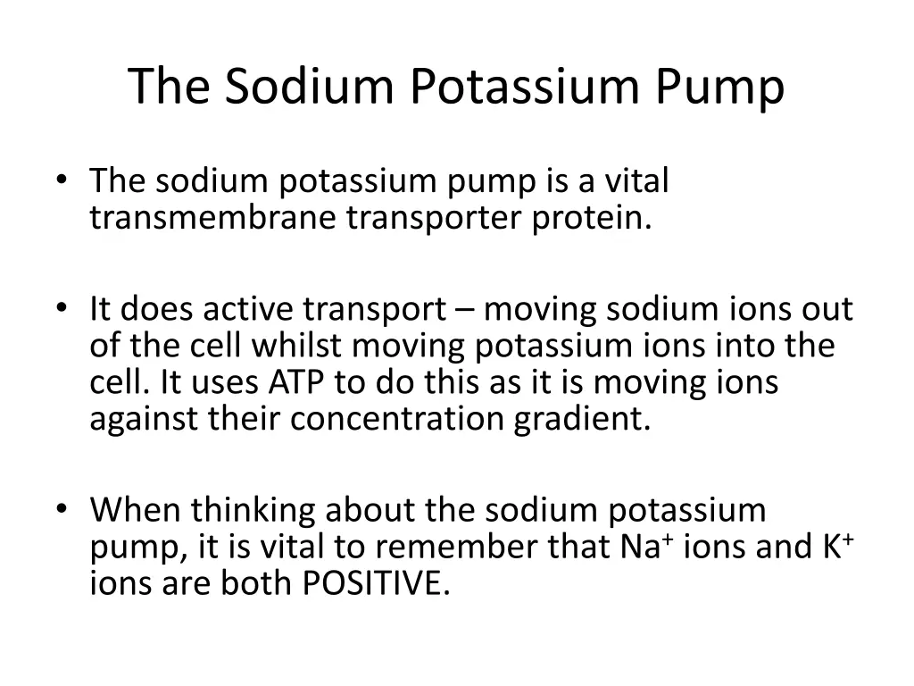 the sodium potassium pump