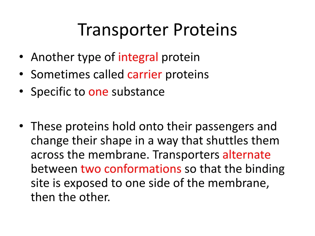 transporter proteins