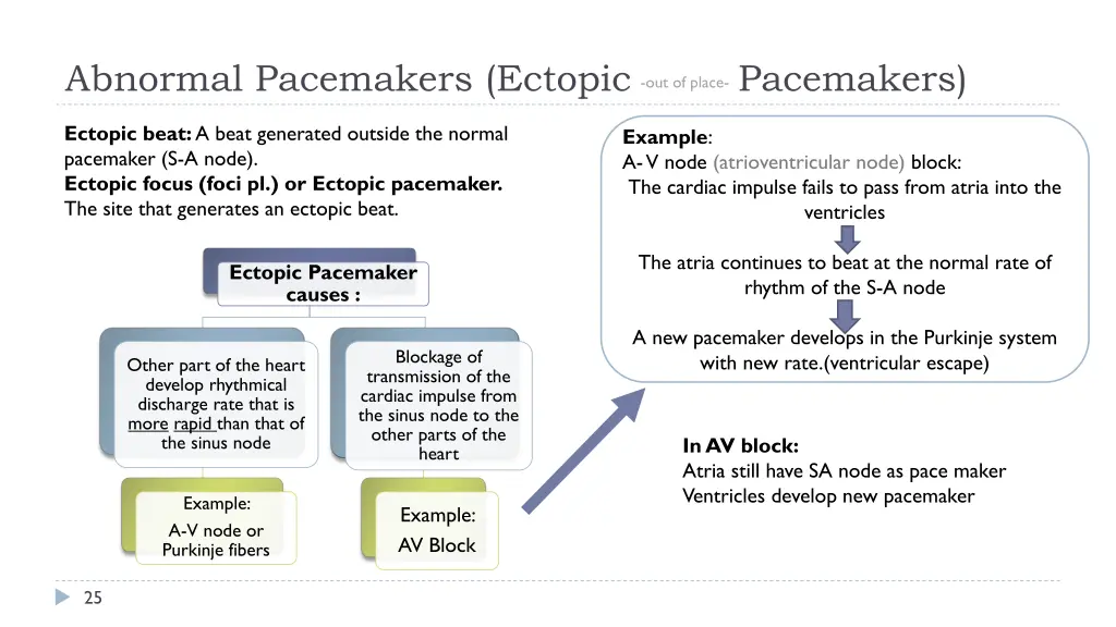 abnormal pacemakers ectopic pacemakers