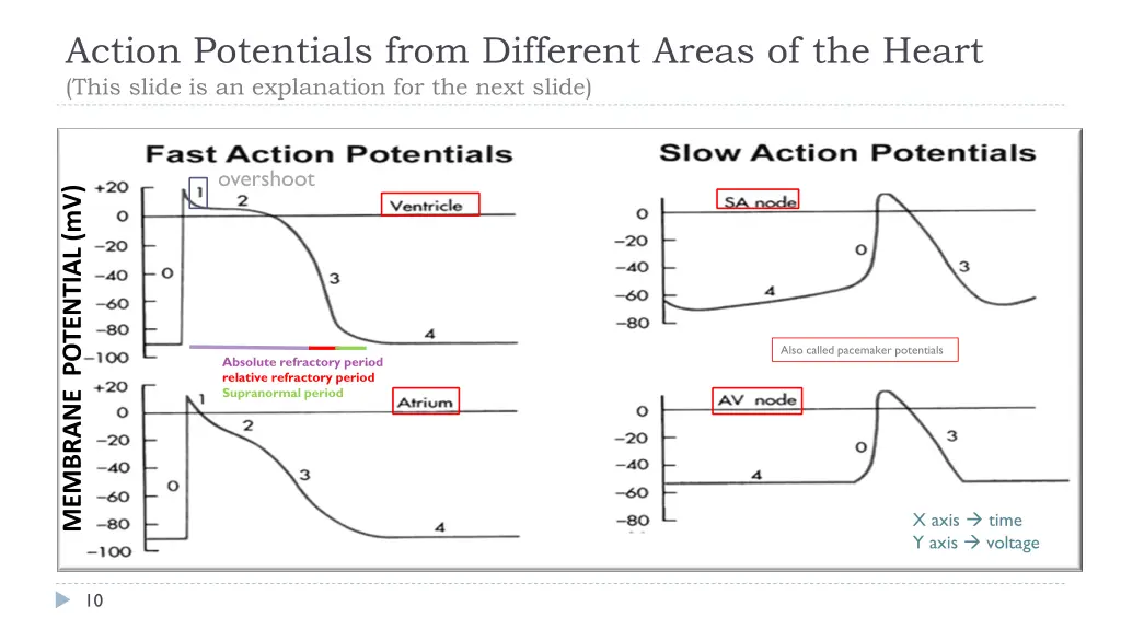 action potentials from different areas