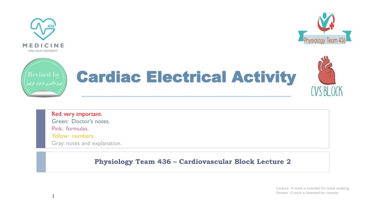 cardiac electrical activity cardiac electrical