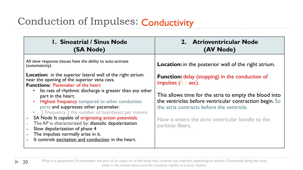 conduction of impulses