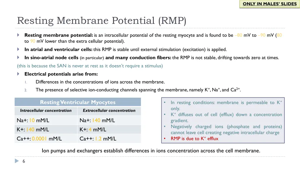 only in males slides 1