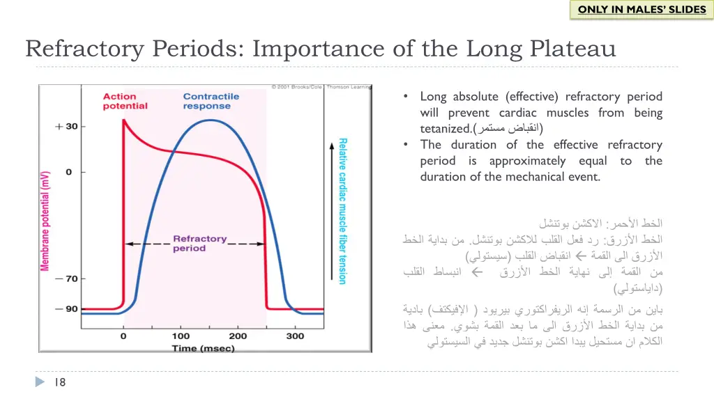 only in males slides 11