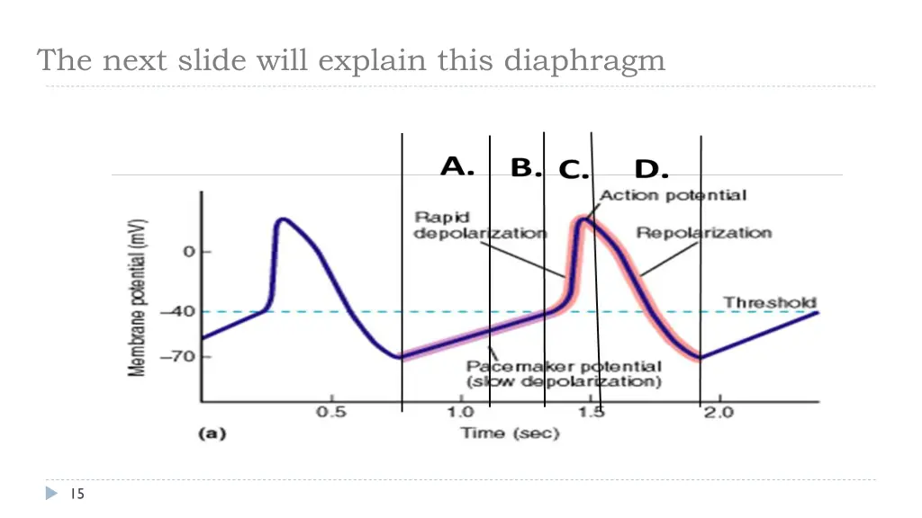 the next slide will explain this diaphragm