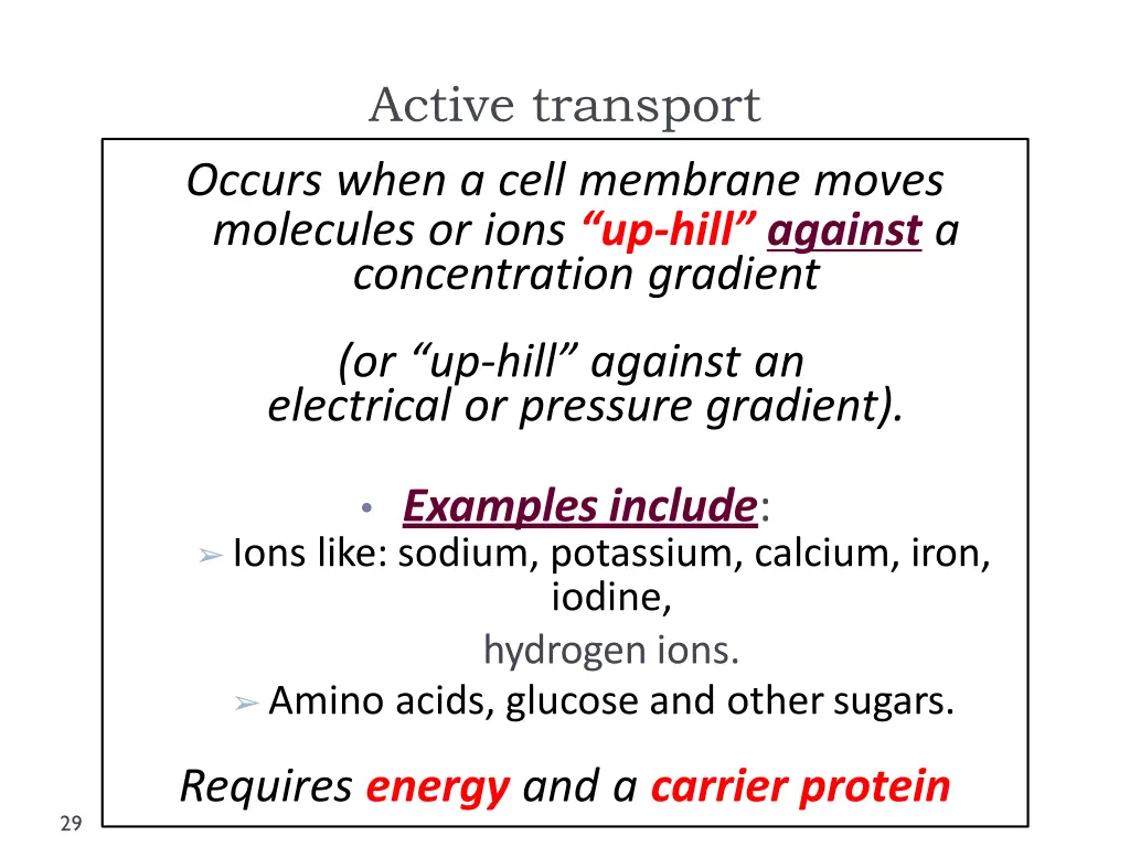 active transport occurs when a cell membrane