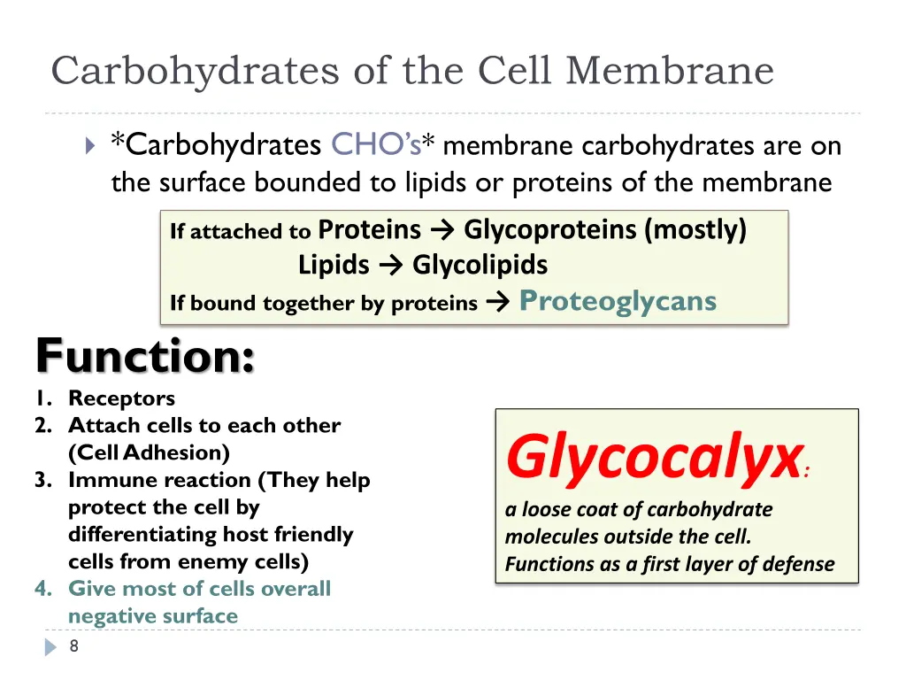 carbohydrates of the cell membrane