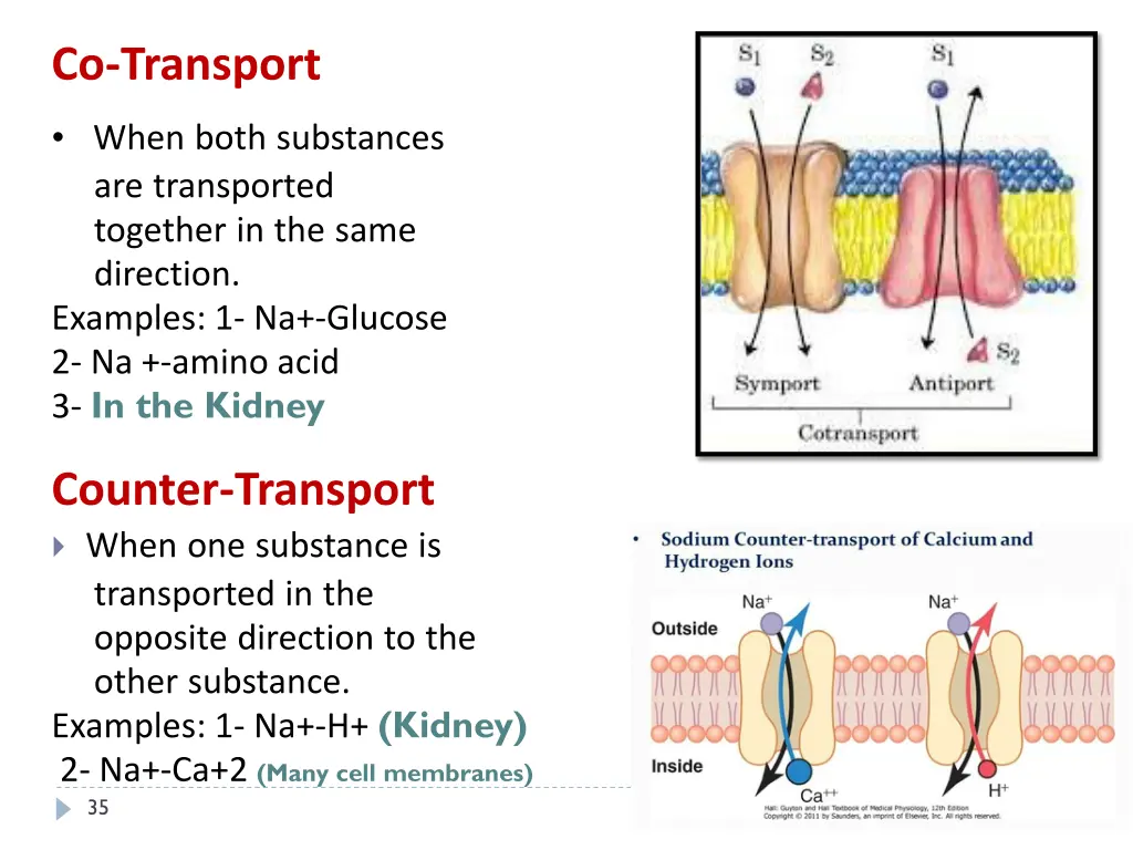 co transport