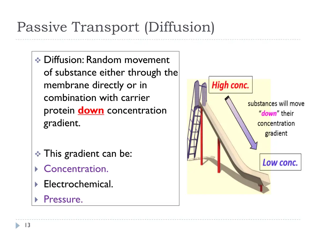 passive transport diffusion