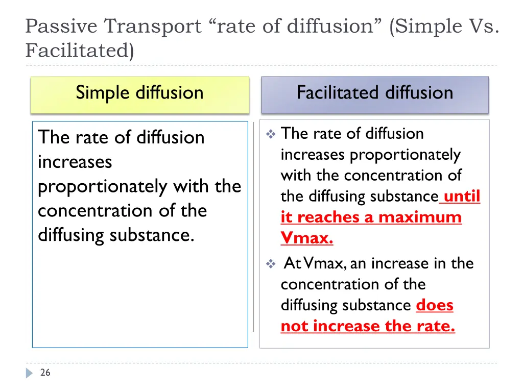 passive transport rate of diffusion simple