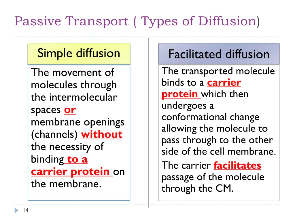 passive transport types of diffusion