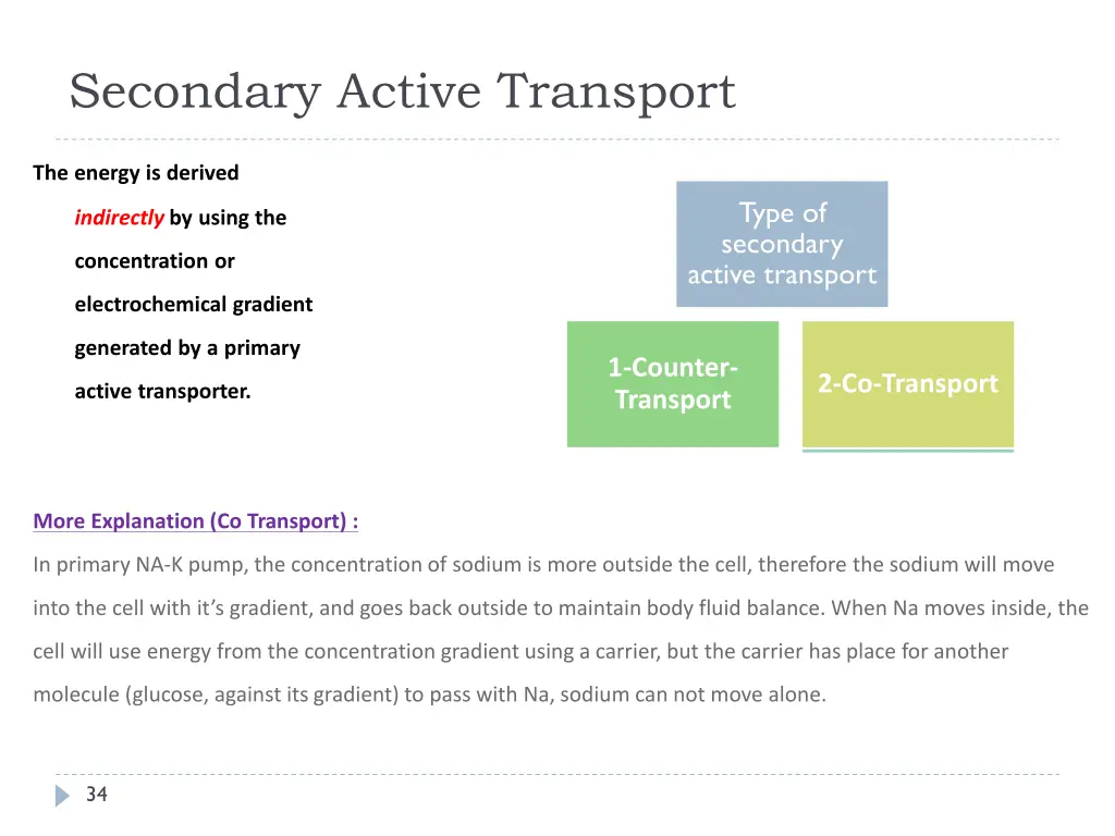 secondary active transport