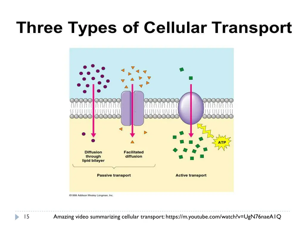 slide15