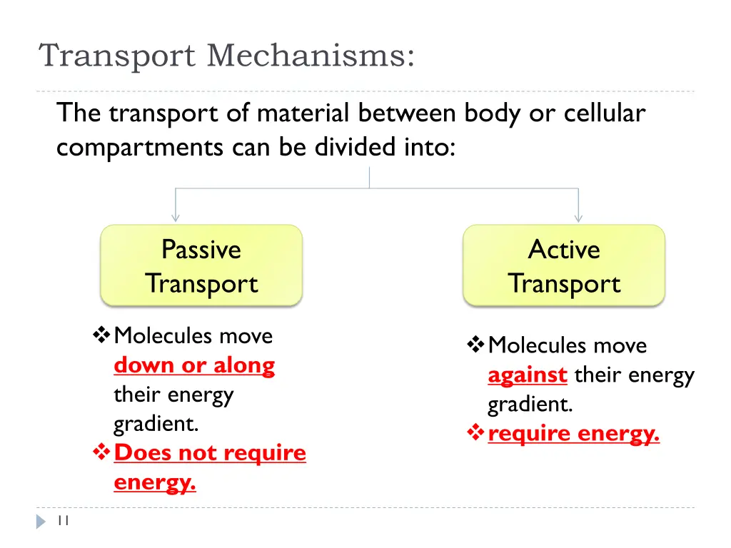 transport mechanisms