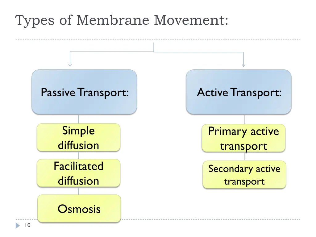 types of membrane movement