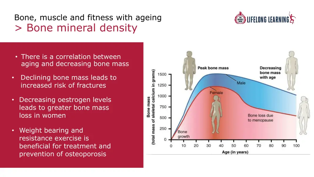 bone muscle and fitness with ageing bone mineral