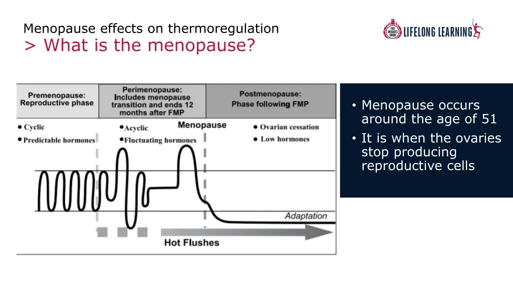 menopause effects on thermoregulation what