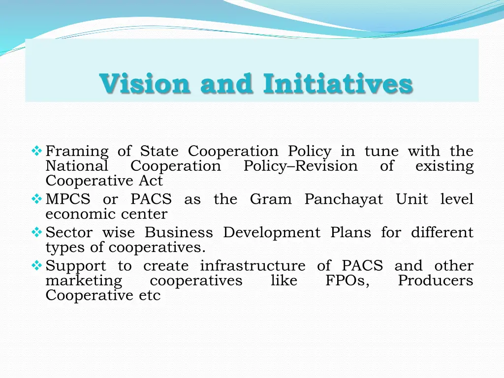 vision and initiatives