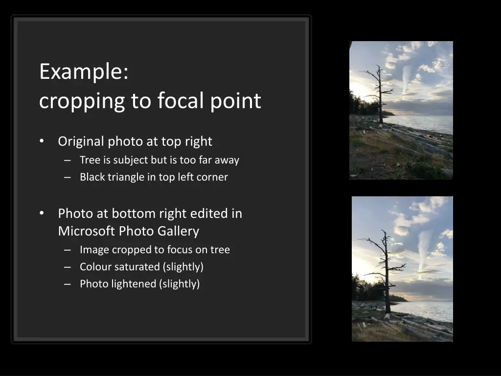 example cropping to focal point