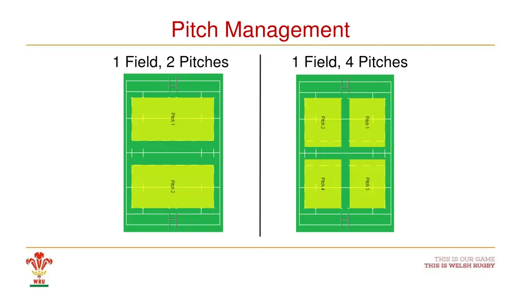 pitch management