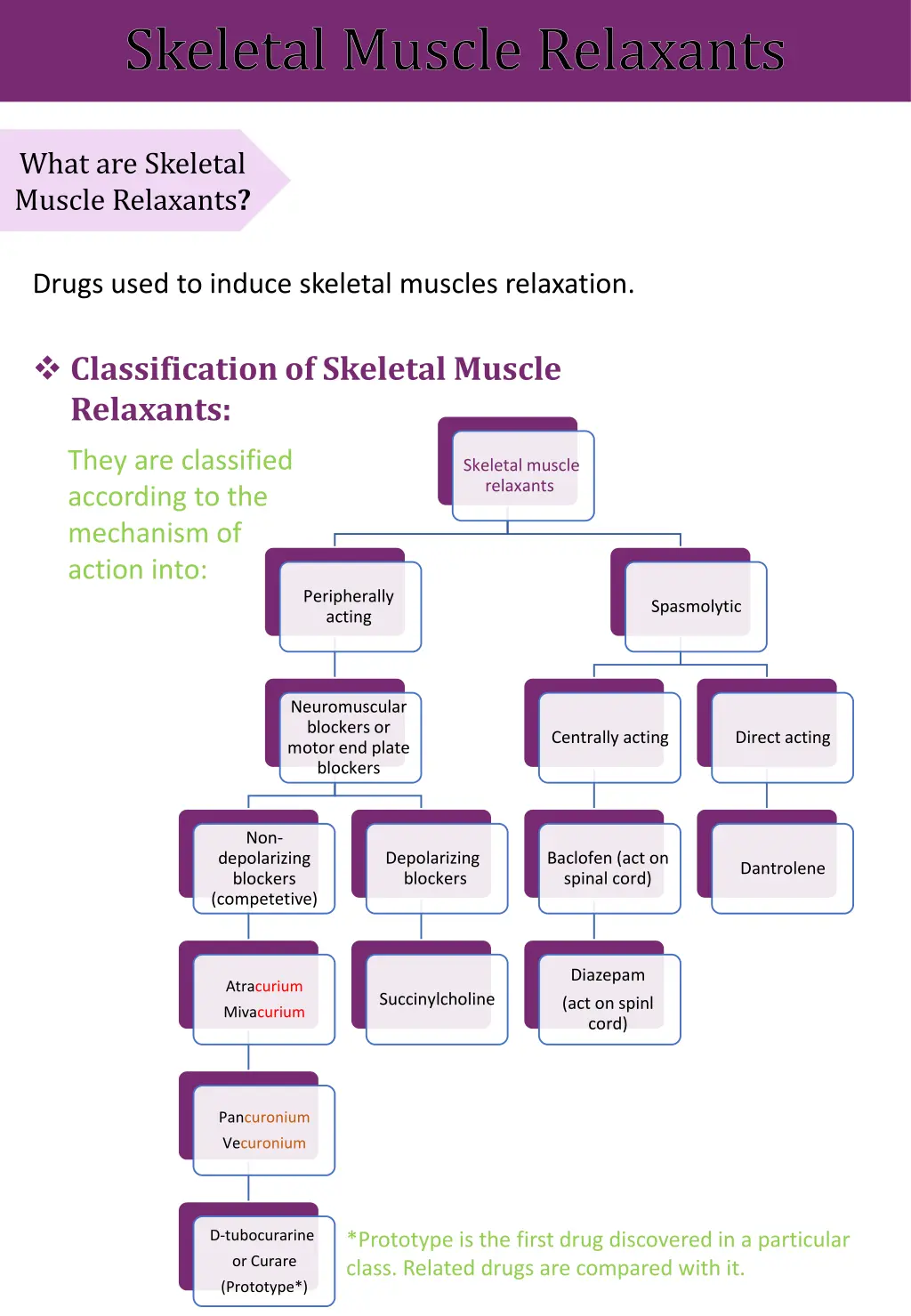 skeletal muscle relaxants 1