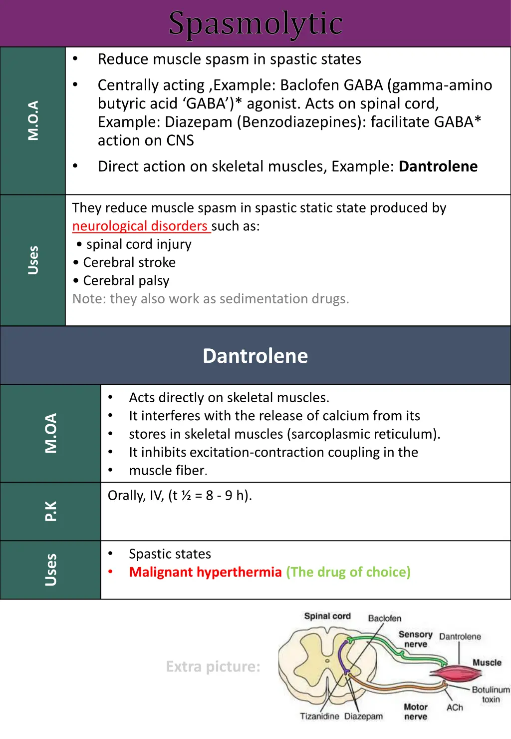 spasmolytic