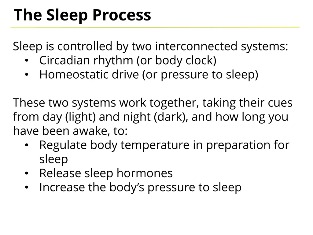 the sleep process