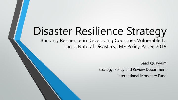 disaster resilience strategy building resilience