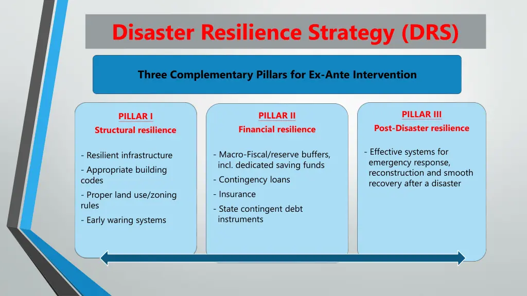 disaster resilience strategy drs