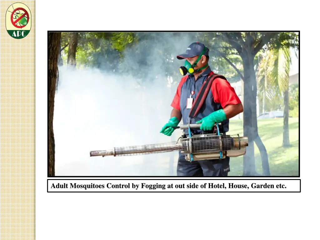 adult mosquitoes control by fogging at out side