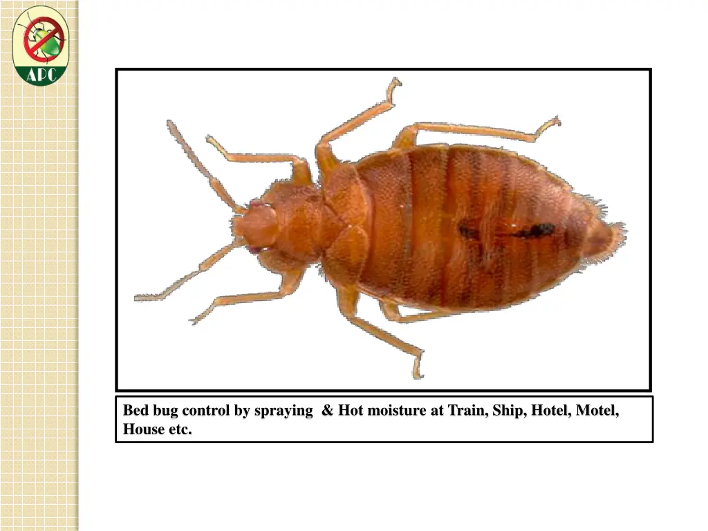 bed bug control by spraying hot moisture at train