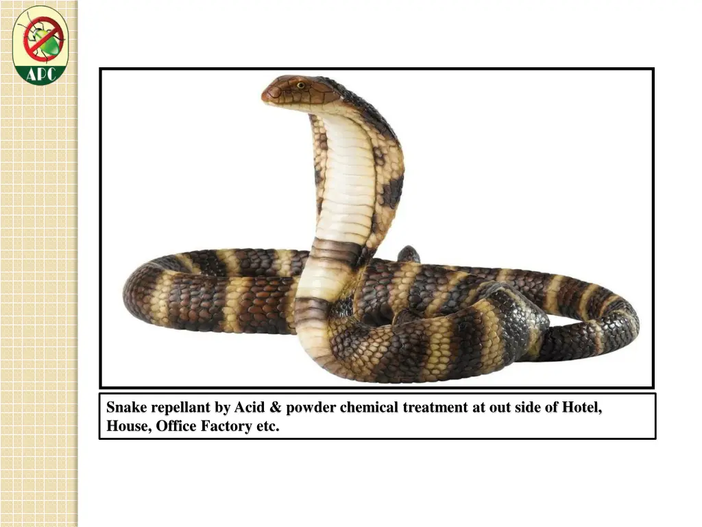 snake repellant by acid powder chemical treatment