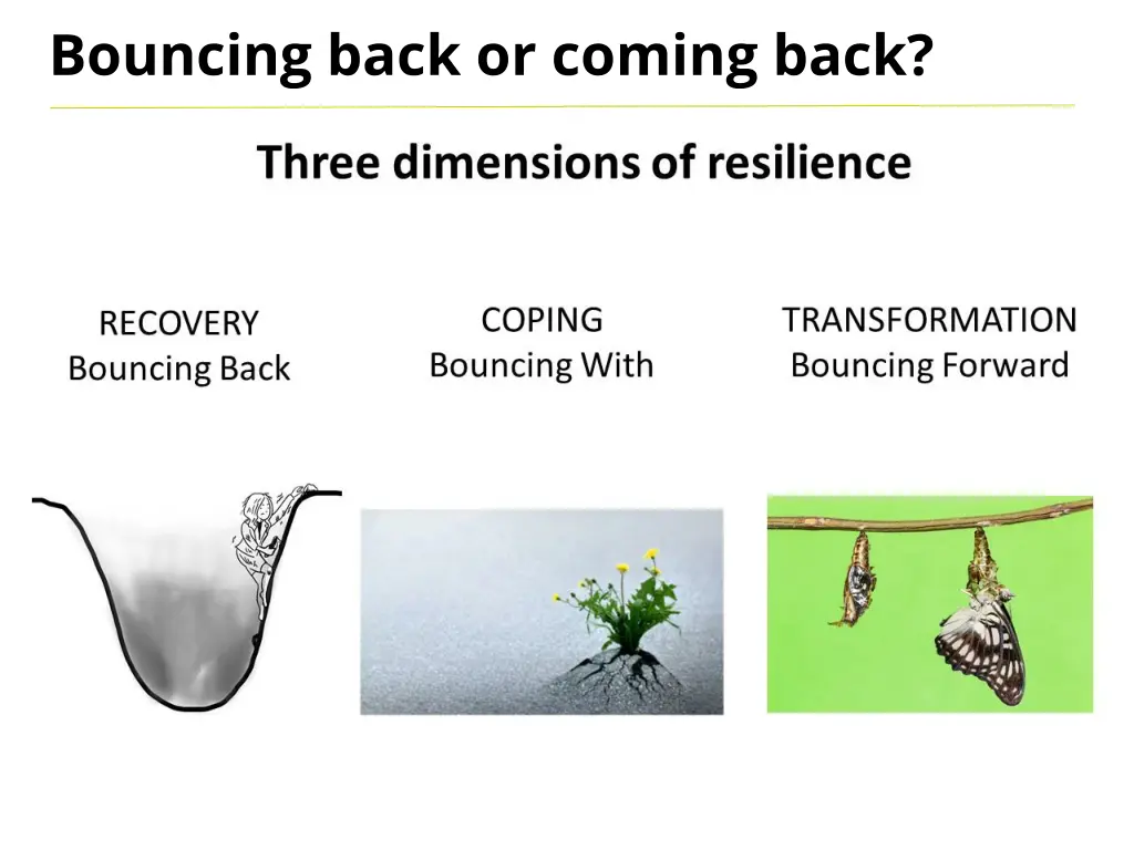 bouncing back or coming back