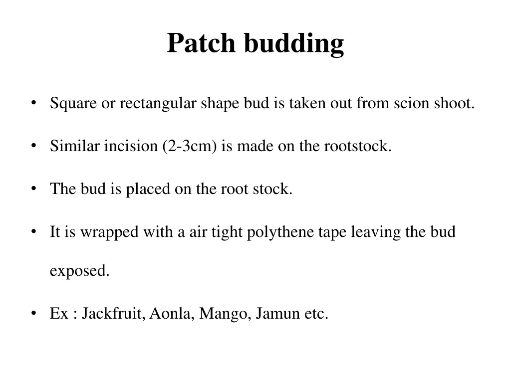 patch budding