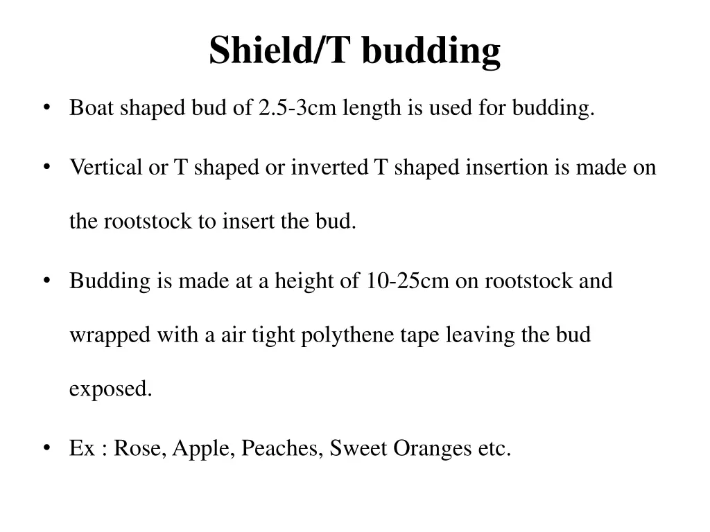 shield t budding