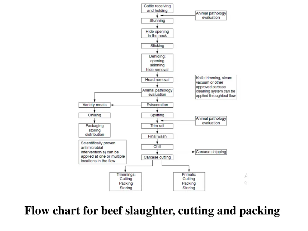 flow chart for beef slaughter cutting and packing