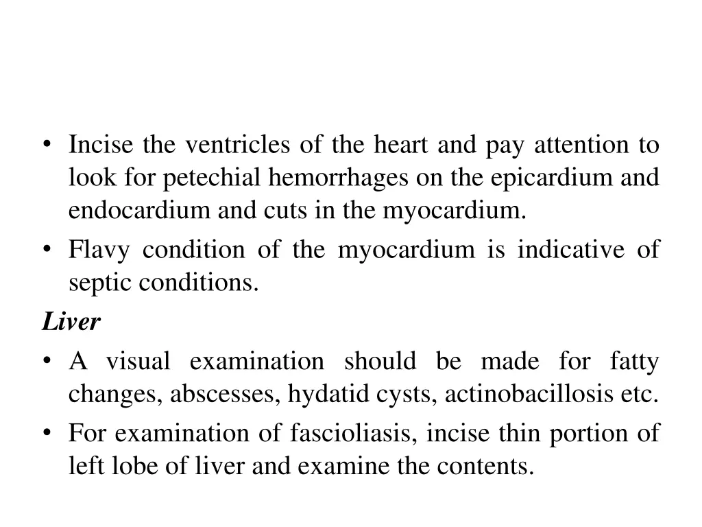 incise the ventricles of the heart